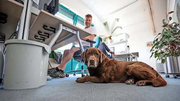 Indra is a beastly good colleague