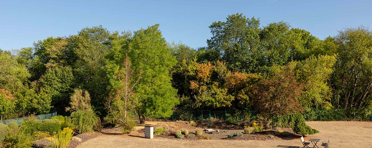 Data Intelligence Konferenz